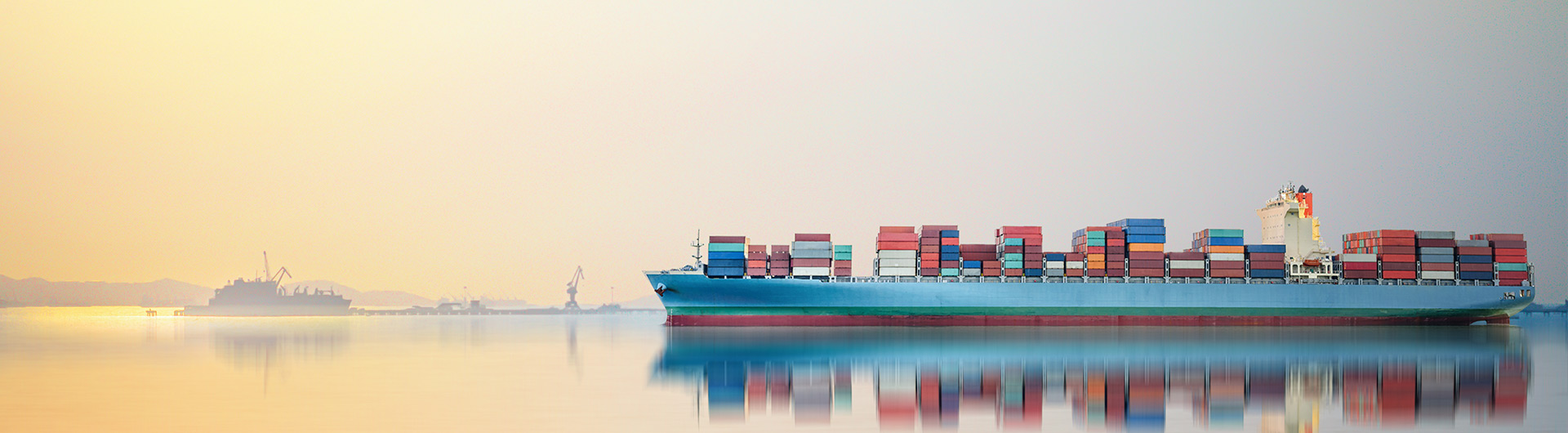 ABOUT OUR EXPORT