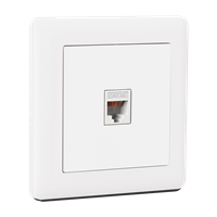 Data Socket (Cat5)