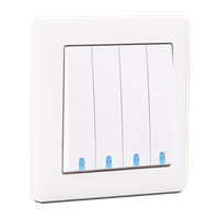 4G 2 Way Change-Over Switch Illuminated