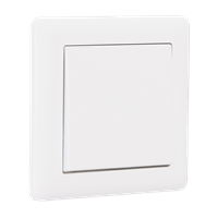 1G 1 Way Switch
