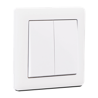 2G 1 Way Switch