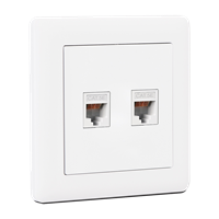 Double Data Socket (Cat5)